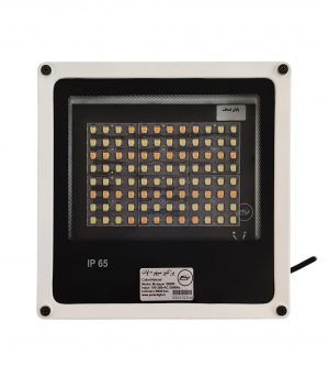 prozhector-sefid-100w