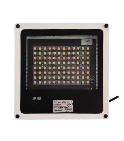 prozhector-sefid-100w